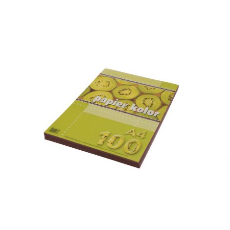 Papier ksero A4/100/80g Kreska brązowy - 2